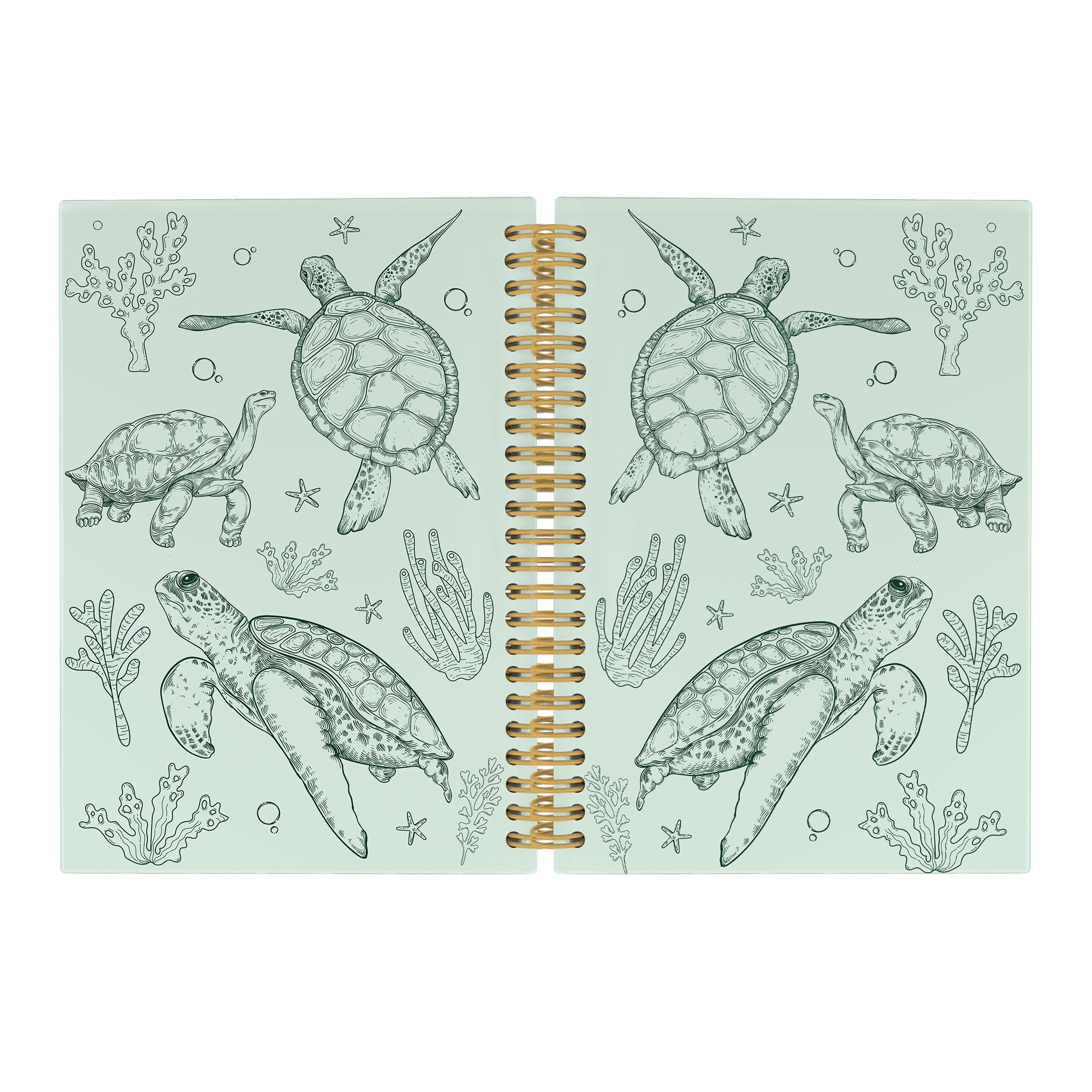 Carnet de notes Pugwak tortue de mer le cadeau idéal pour femme enfant et fille
