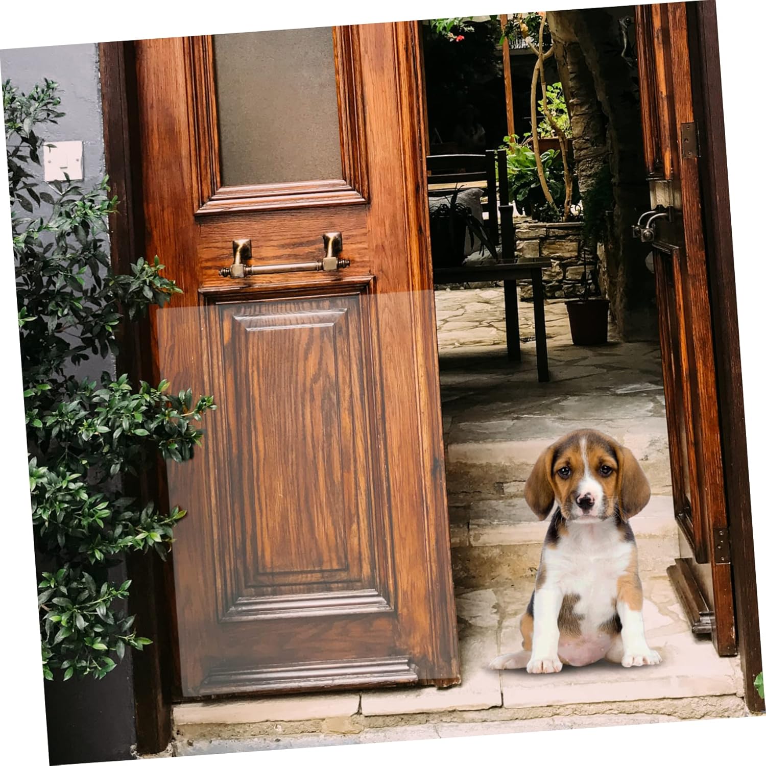 2pcs Pet Cat Door Protector Door Protection Patch Door Scratch Sticker Dog Door Scratching Patch Pet Dog Scratching Shield Door Accessories Dog Scratching Sticker