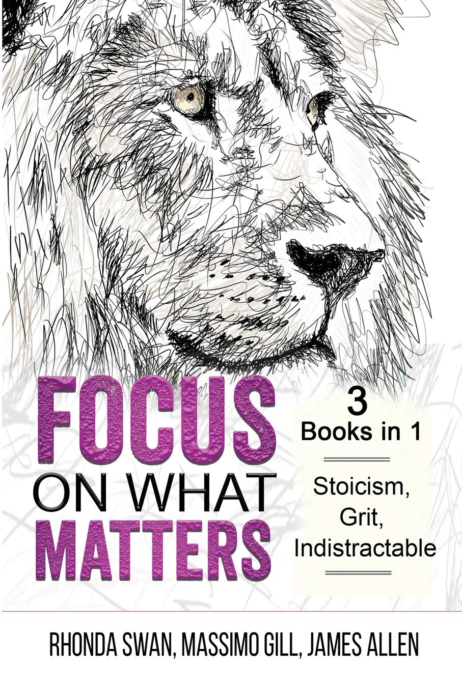 Focus on What Matters - 3 Books in 1 - Stoicism, G