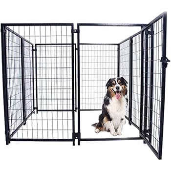 chocolate lab and blue heeler mix