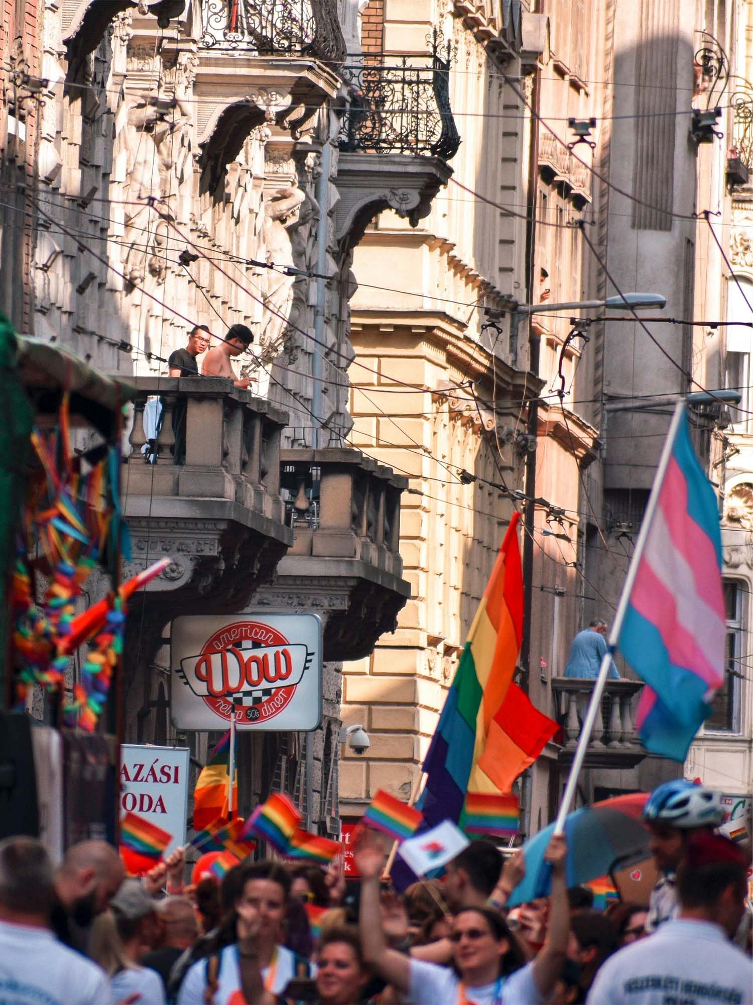 Bandiera Transgender Pride 3x5 Piedi Con Occhielli – LGBTQIA Trans Equal Parade