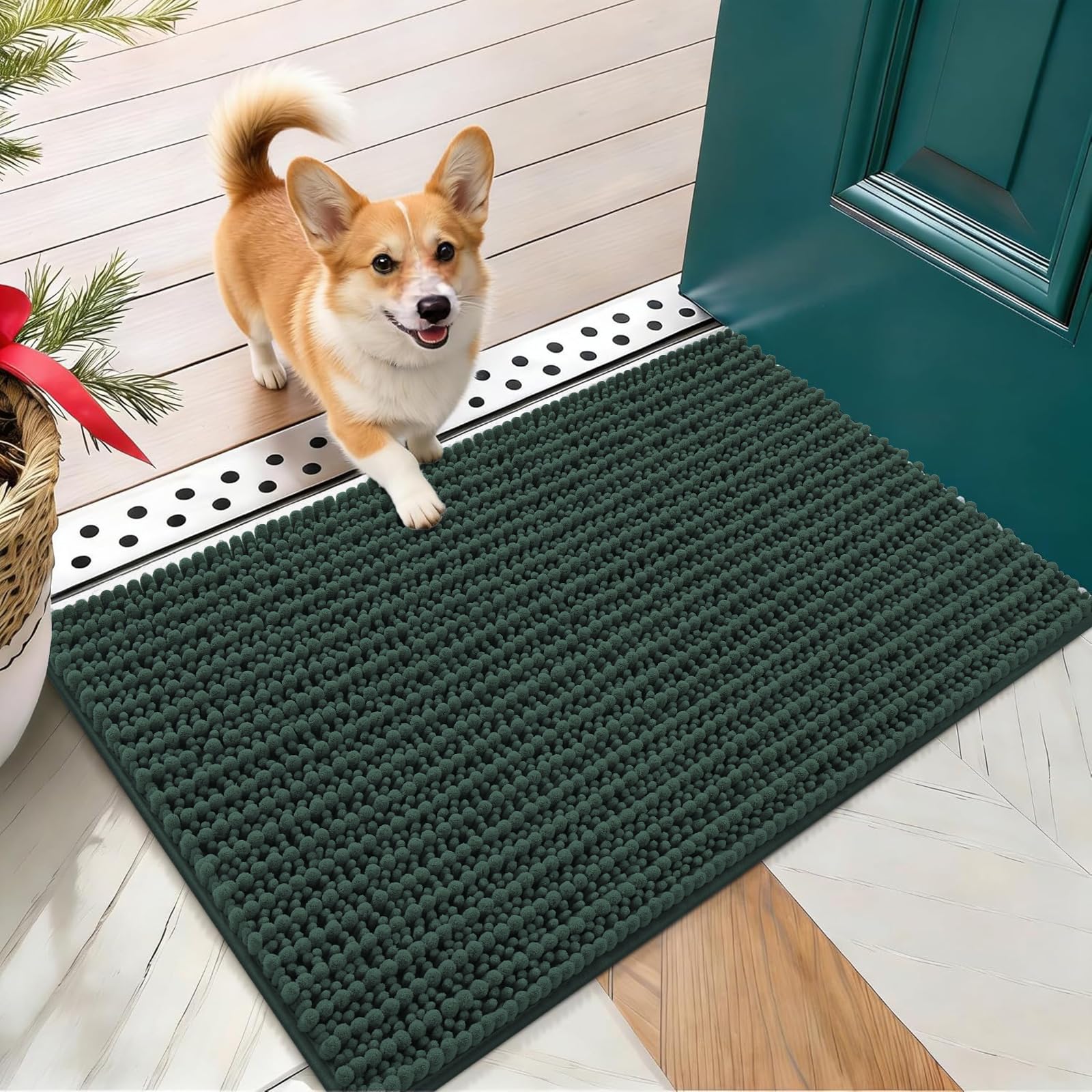 OLANLY Dog Door Mat for Muddy Paws 24x16, Ultra-Absorbent Chenille Mud Mat