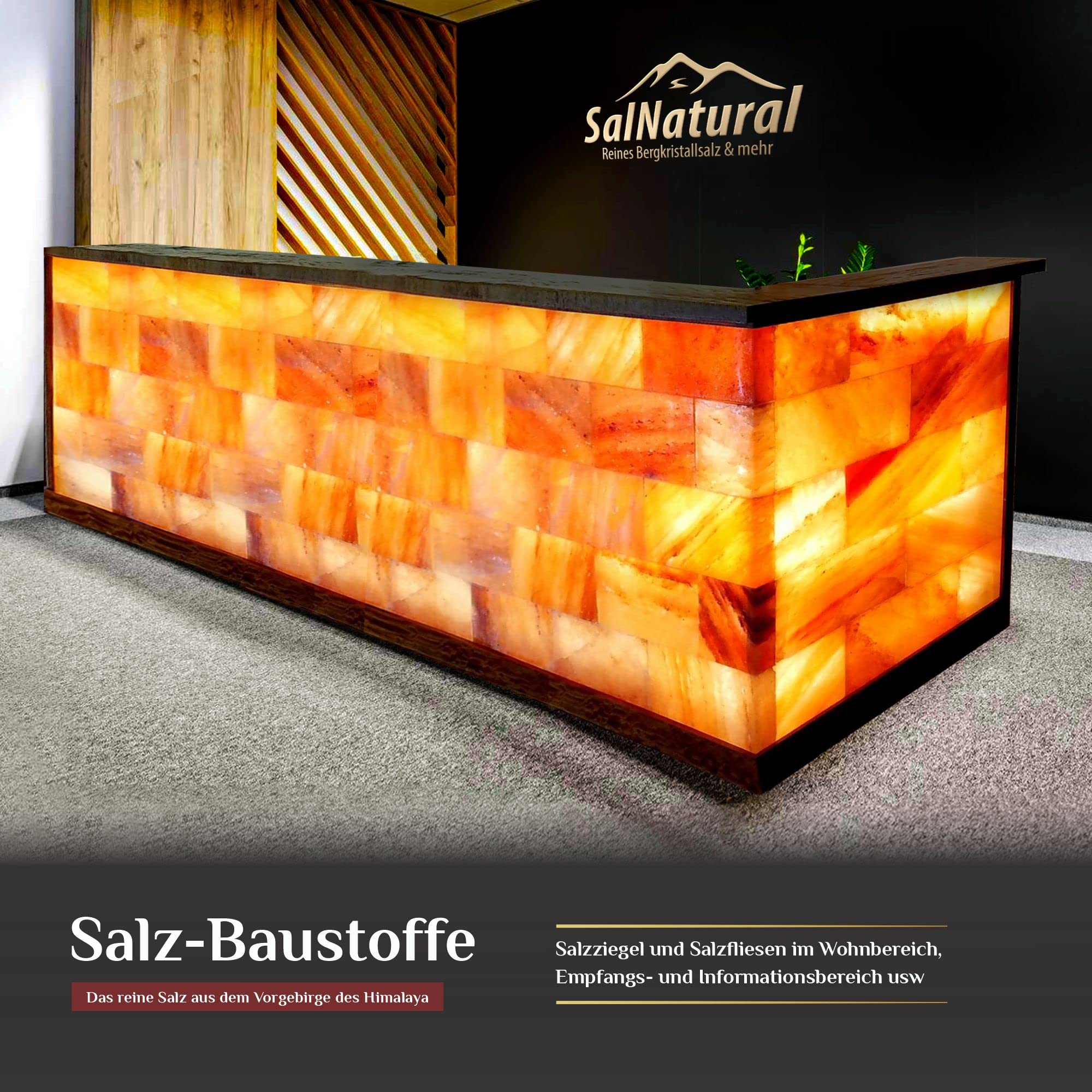 SalNatural Salzfliese aus Kristallsalz. 20x10x2.5 cm Salzstein für Sauna, Salzräume, Salzgrotten. Beleuchtete Salzwand im Wellness- und Wohnbereich,Sauna & Infrarotkabinen (20)