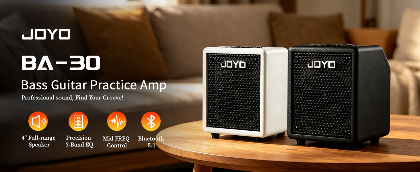 Amazon.com: JOYO 30W Bass Amp Portable Combo Amplifier 4