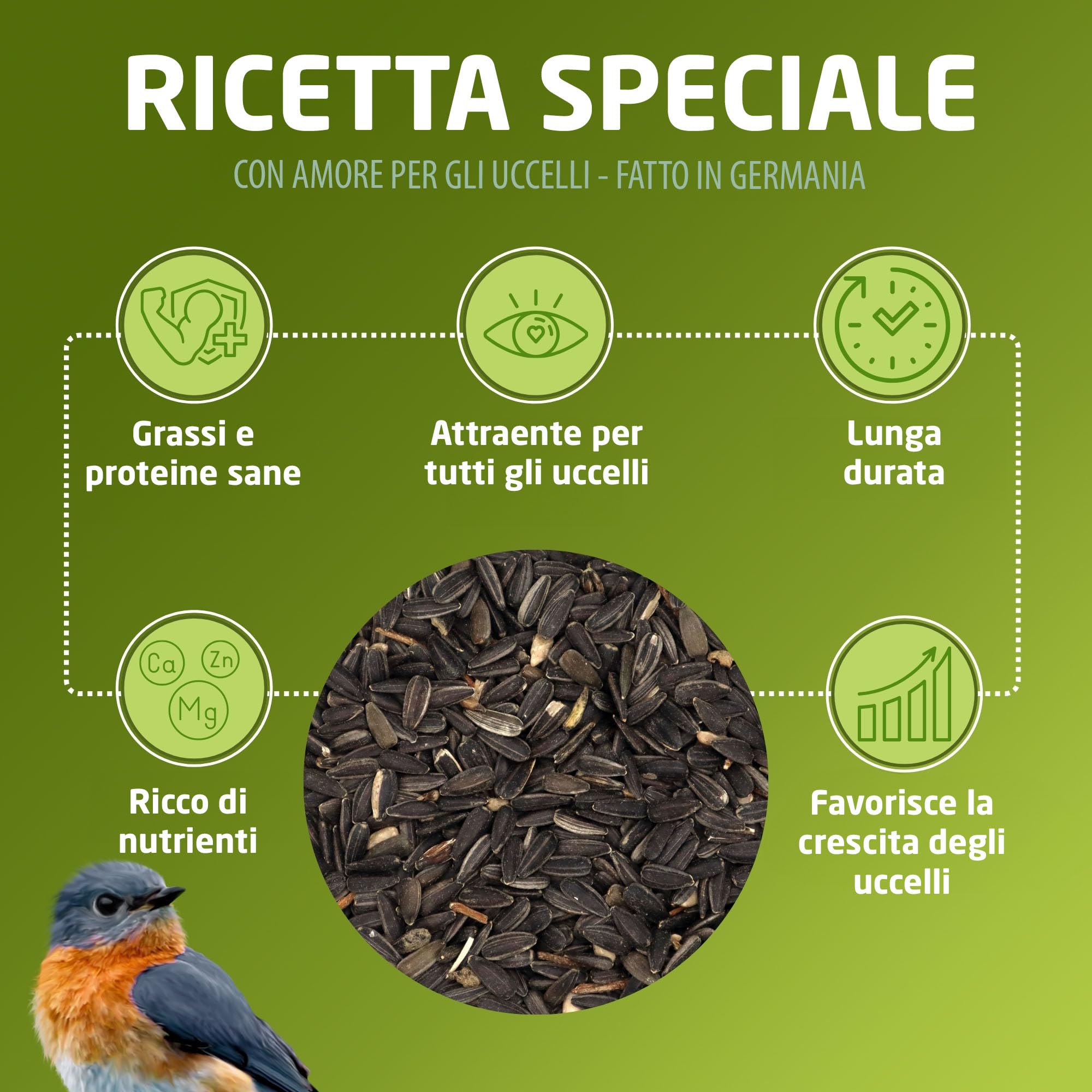 Eggersmann volaris 20 kg semi sole | Semi girasole, Mangime per uccelli selvatici tutto l'anno | Cibo per uccelli selvatici tutto l'anno | Alimento sparso ad alto contenuto di grassi per tutte uccelli
