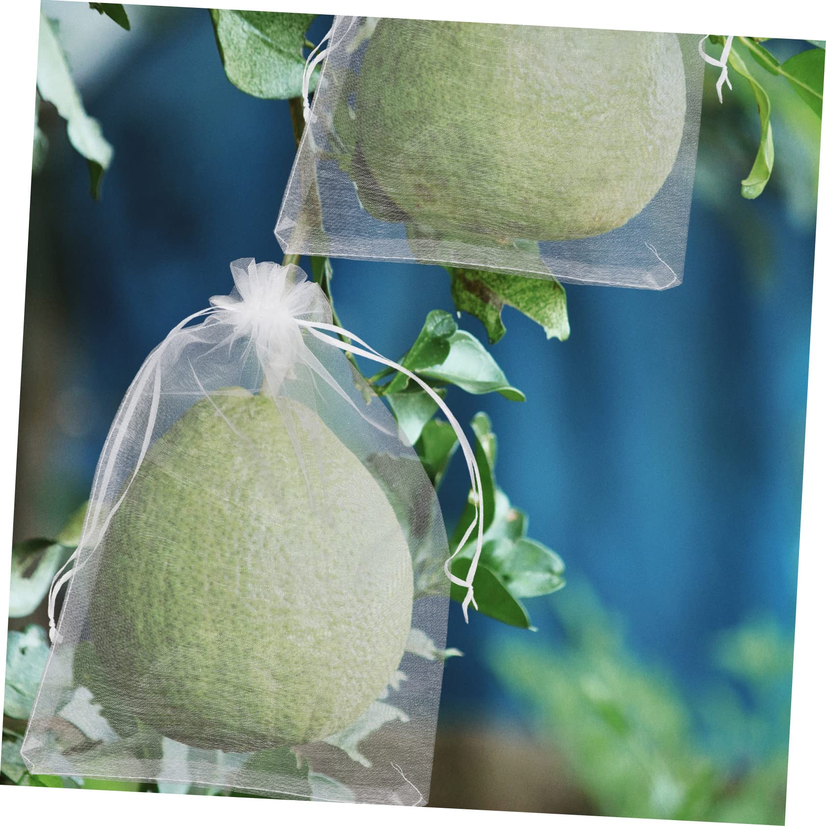 BESPORTBLE 300piezas Bolsas De Protección para Frutas De Transpirable Cierre para Jardín contra Plagas y Aves Reutilizables y Resistentes