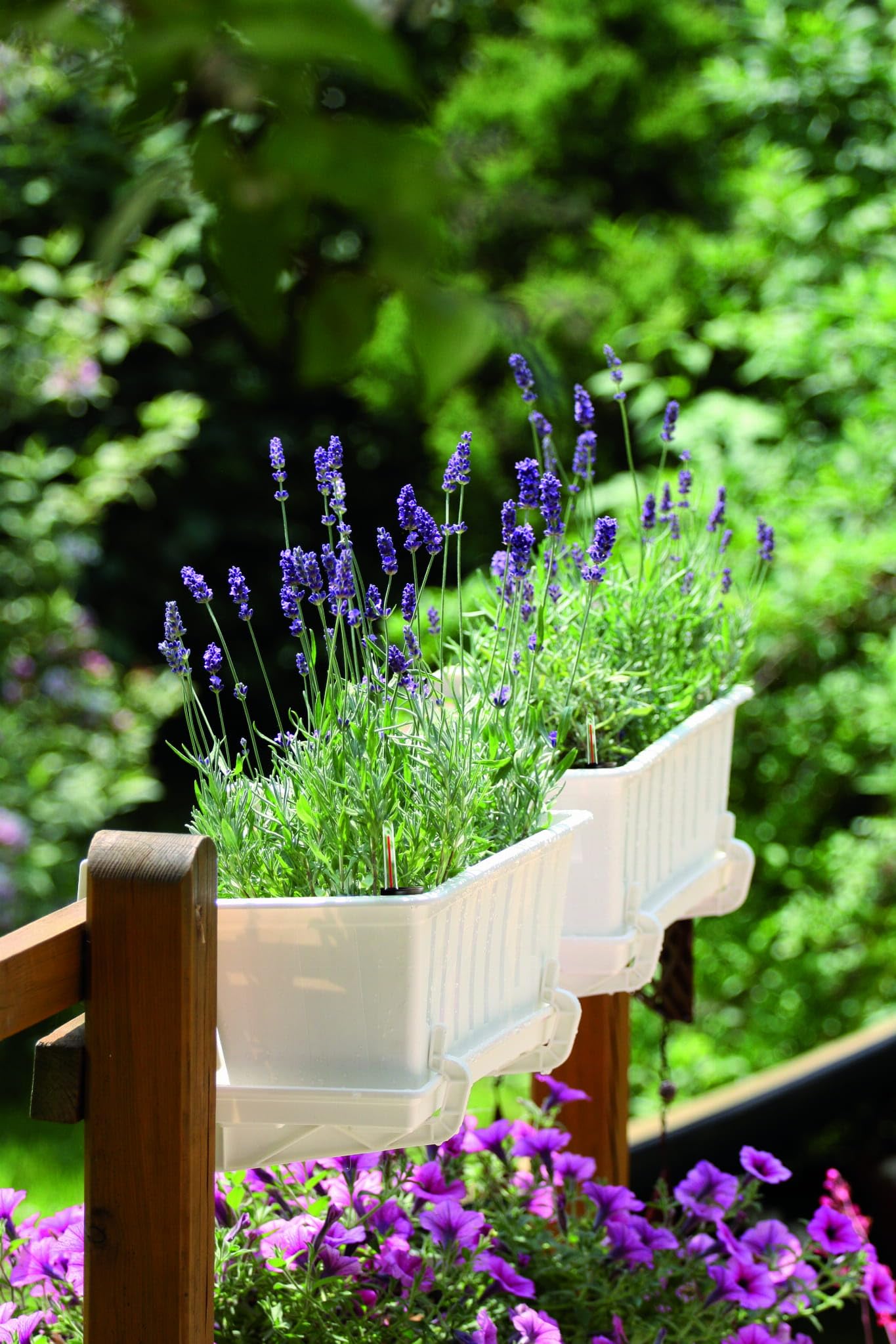 Blumenkasten Set 3 X 60x18x14 cm mit Bewässerung | Blumenkasten mit Blähton und Griffen | Pflanzkasten aus Kunststoff, 11L Volumen, ideal für Hydrokultur | Balkonkasten für Pflanzenpflege | Terrakotta