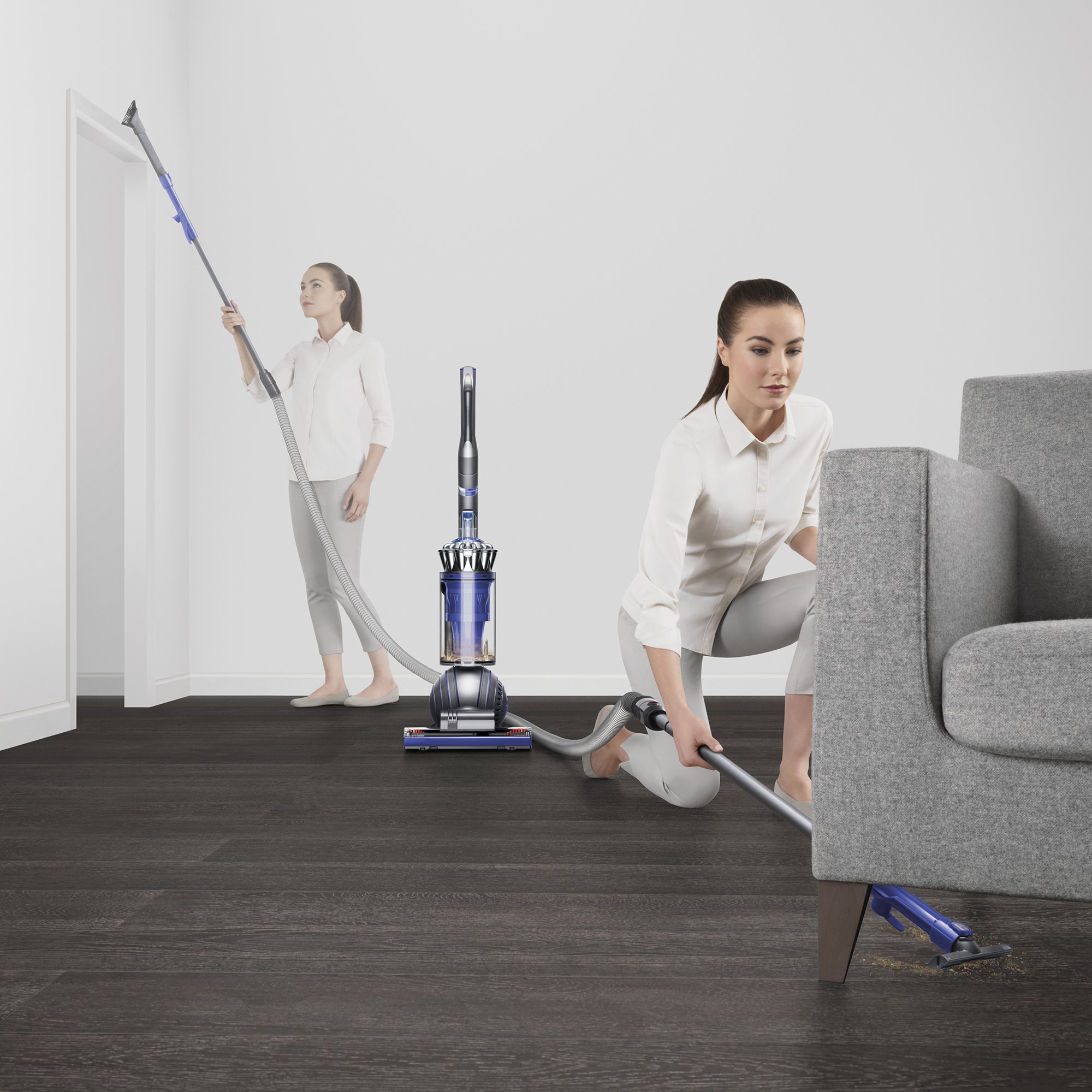Dyson Ball Animal 2 Total Clean Upright 