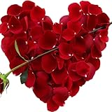 Valentines Day Poem Gifts for Her