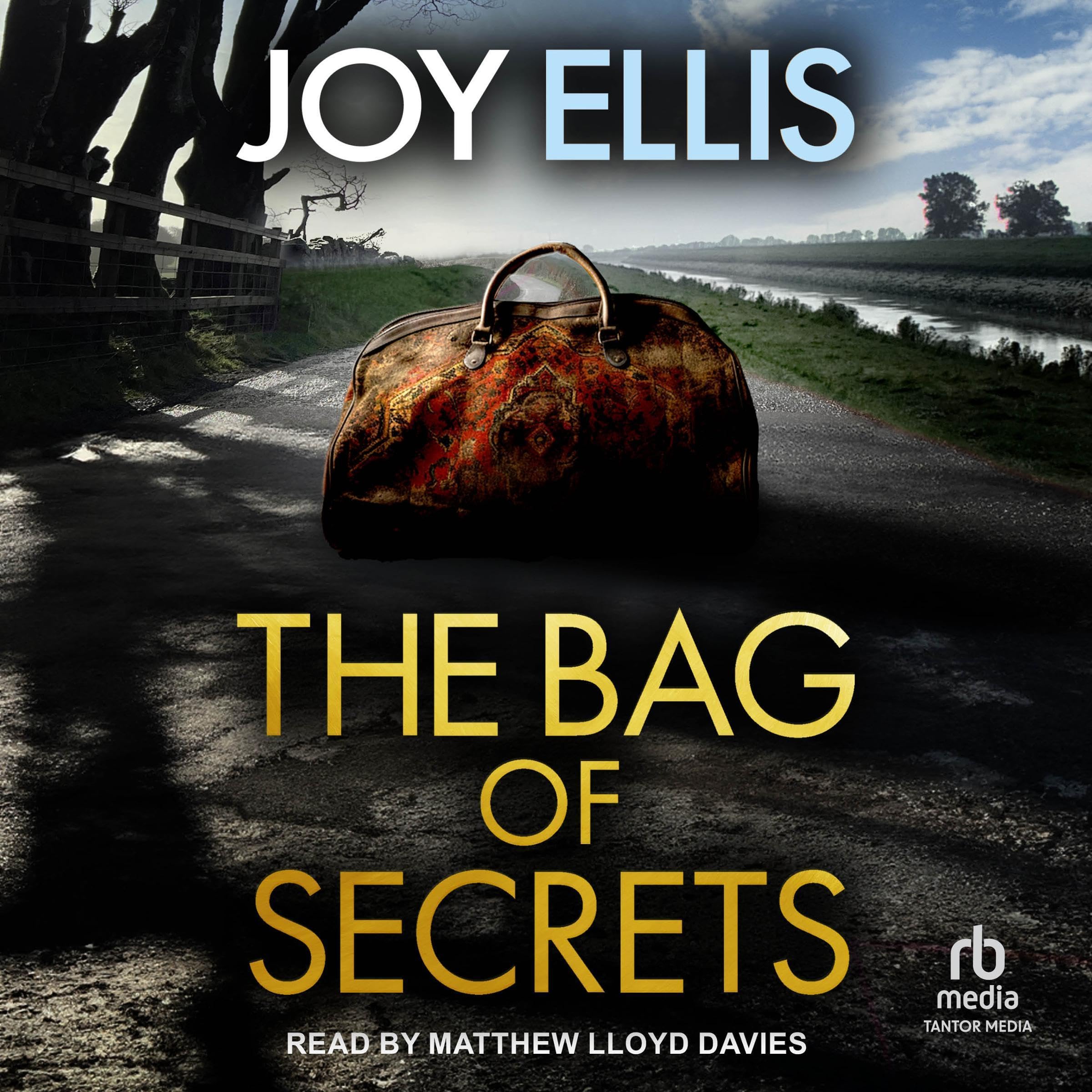 Cover art for The Bag of Secrets