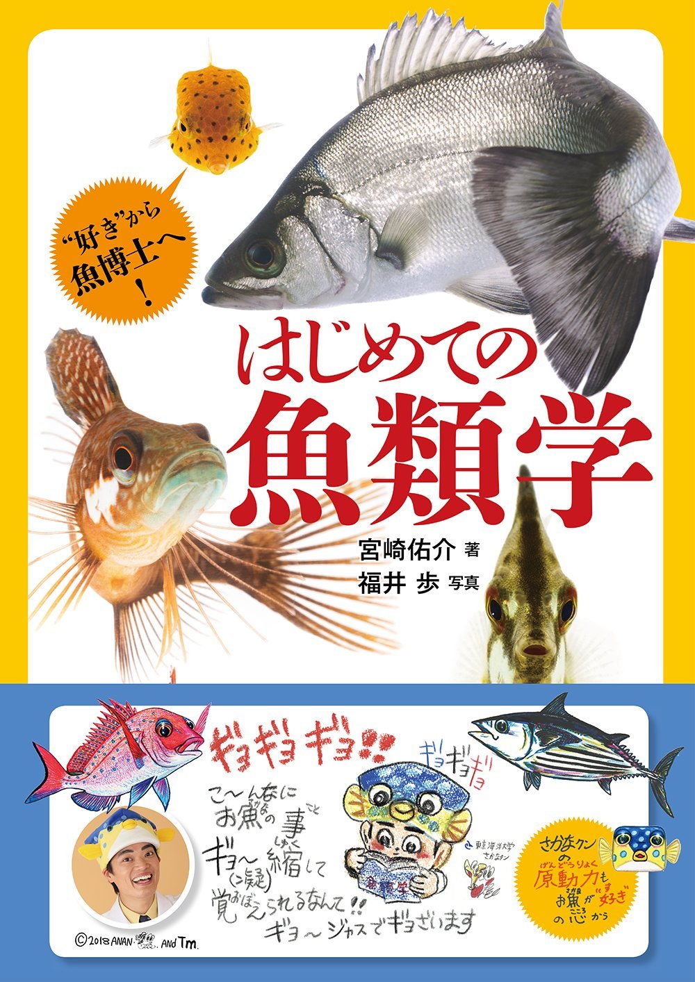 【中古】「非常に良い」素材辞典 Vol.131 旬の魚介編 81ZRldAVfqL.jpg