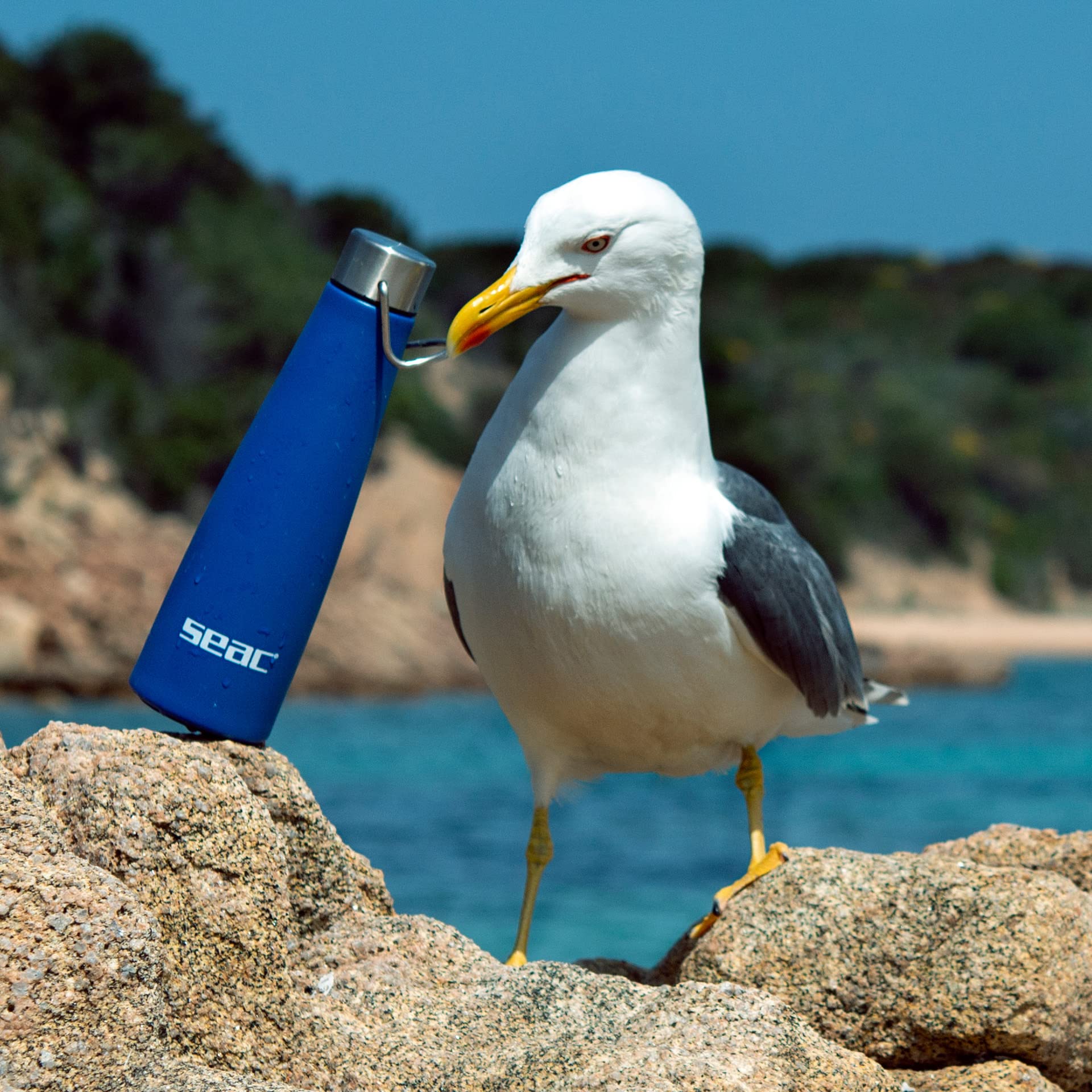 Amazon.com : SEAC Wadi, Stainless Steel Water Bottle, Cold/Warm