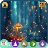 森の睡眠音：4K マジカルマッシュルームとフルート