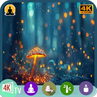 Forest Sleep Sounds: 4K Magical Mushroom & Flute