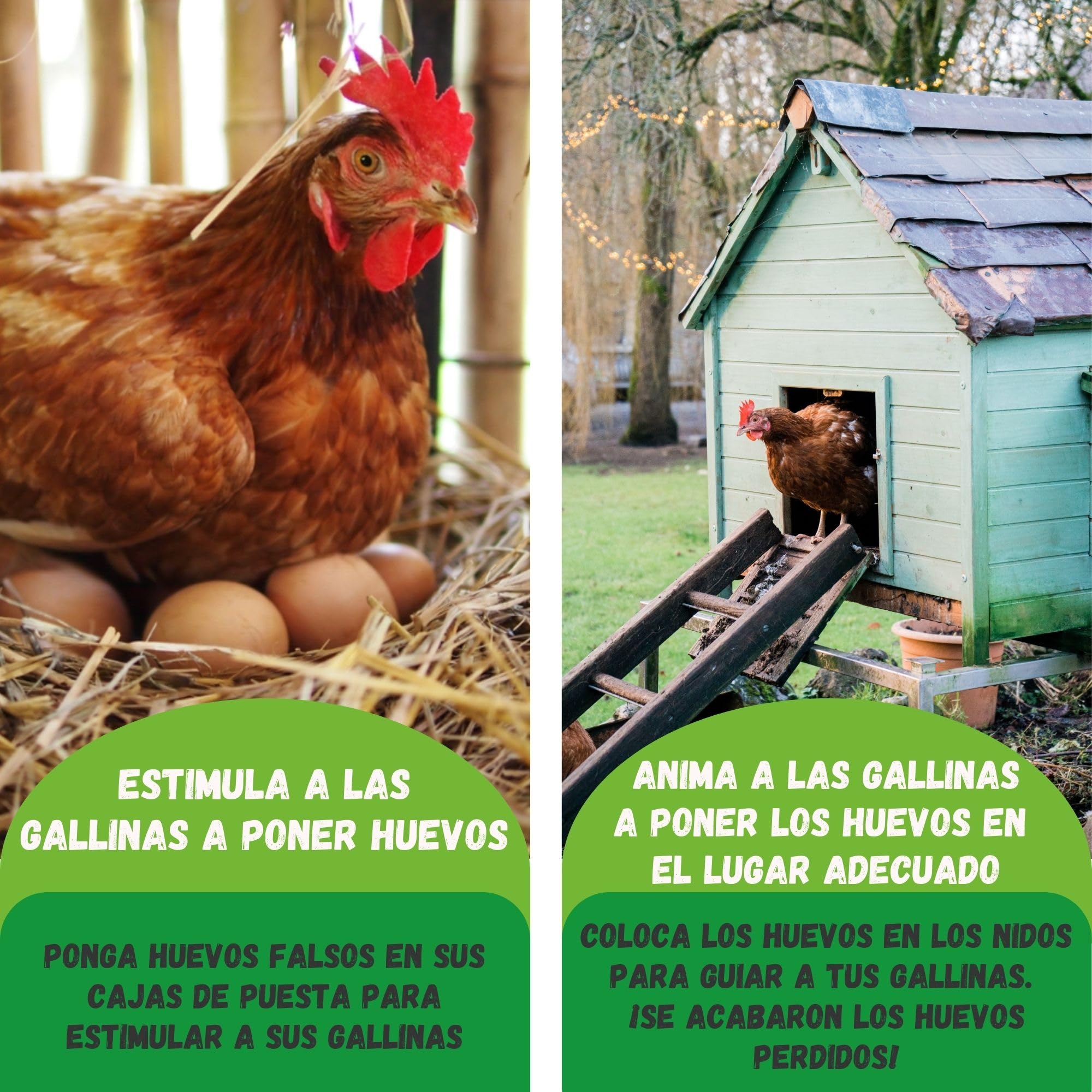 JARDEN Pack de 5 Huevos Falsos de Madera para Gallinas – Huevos Nido Realistas para Estimular la Puesta