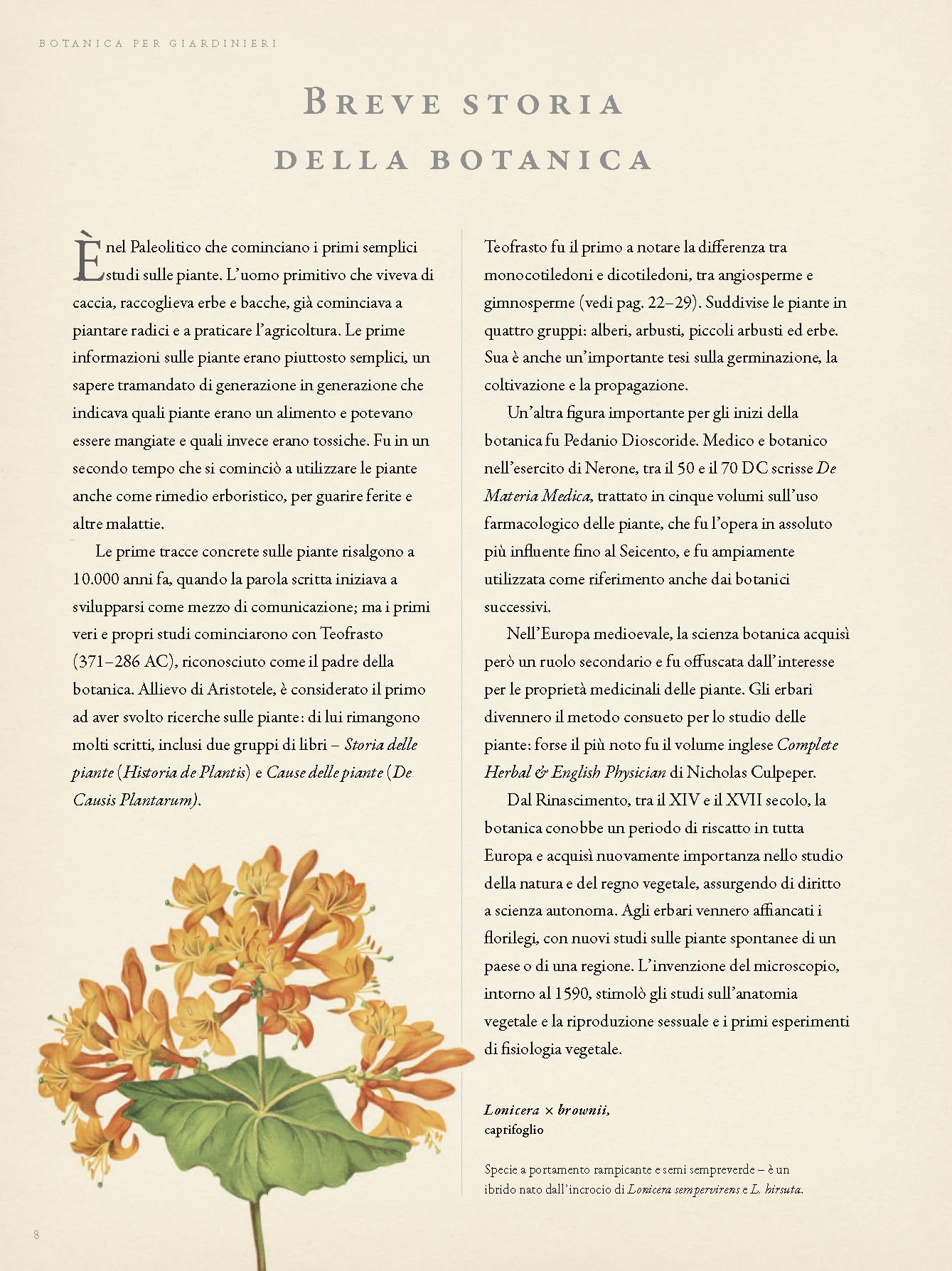 Botanica per giardinieri. L'arte e la scienza del giardinaggio spiegate e raccontate