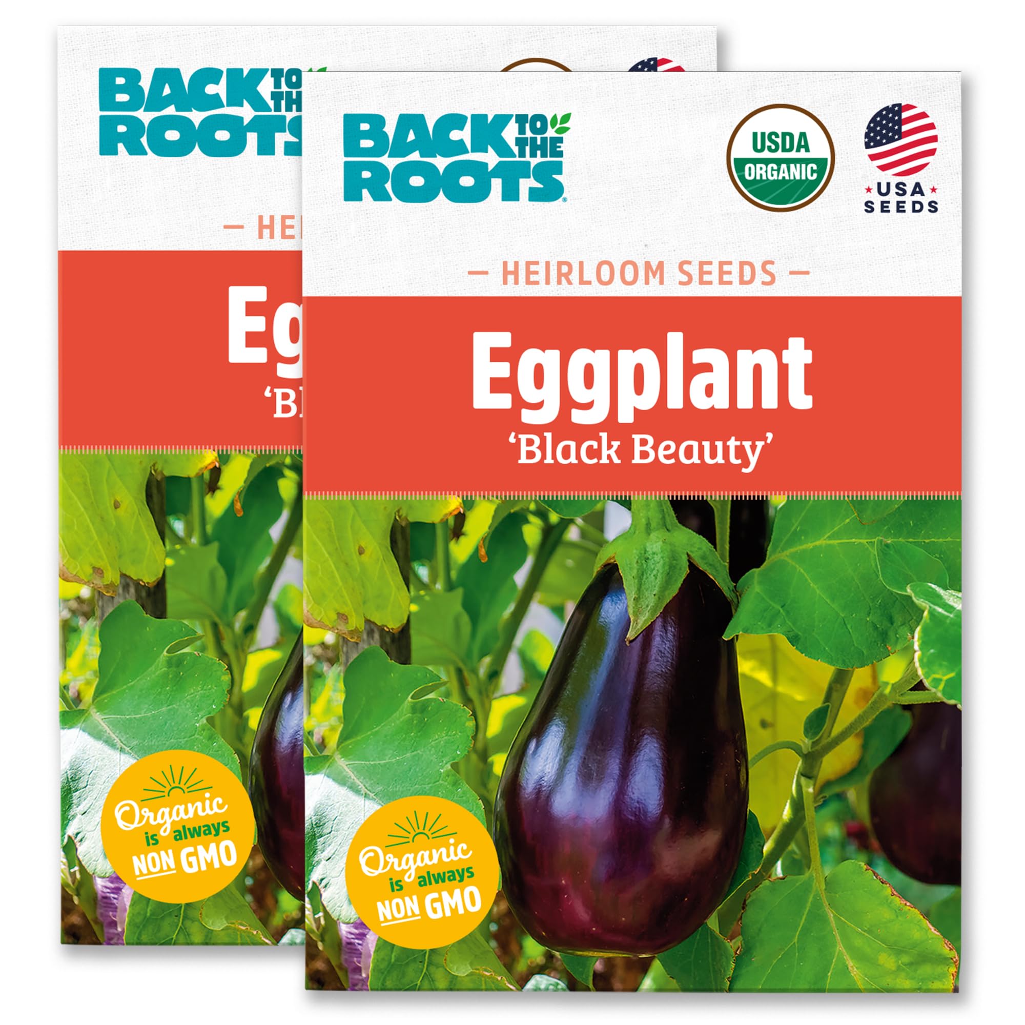 100% Organic Heirloom Seeds - Eggplant Value Pack (280mg Total)