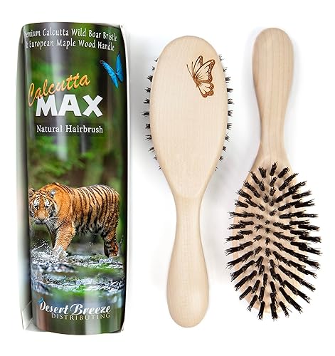 Miniatura 1 de Cepillo de pelo 100% puro de cerdas de jabalí calcuta, Calcuta Max para cabello grueso o largo, cerdas naturales suaves, extra rígidas, mango de