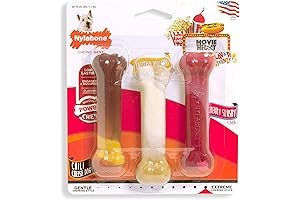 Nylabone Power Chew Flavor Frenzy Bone Chew Toys (3-Count)