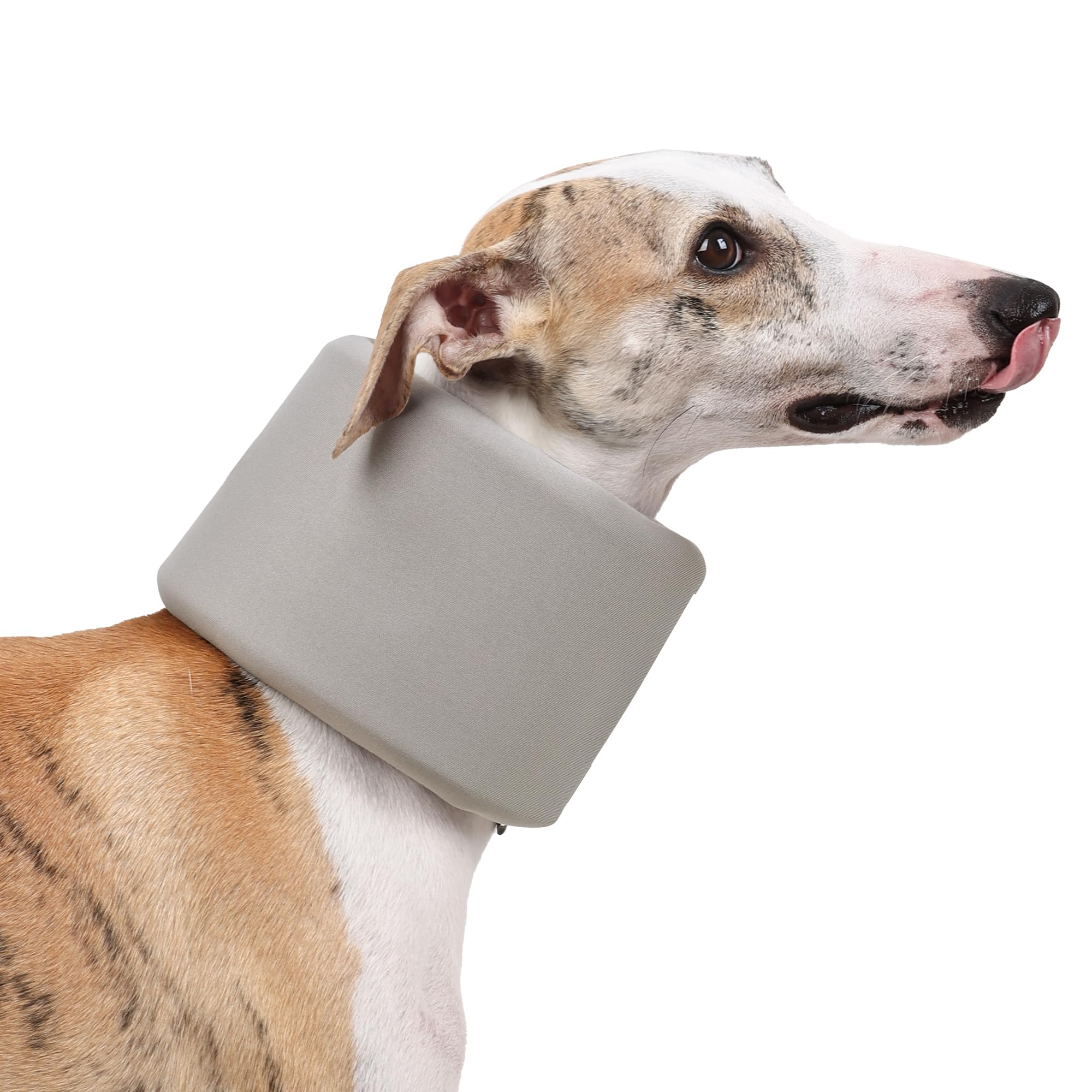 Dog Neck Brace for Pet After Surgery Recovery Adjustable Breathable Neck Cervical Cone，Dog Cone Collar Recovery Head Cone for Small Medium Dogs Puppies Kittens with Spinal IVDD Lssues (Gray,M)