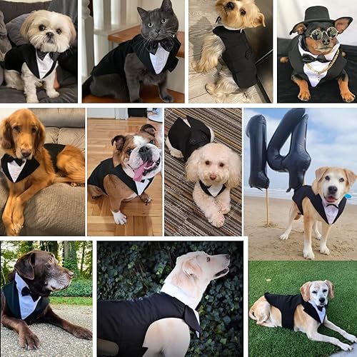 Miniatura 4 de Conjunto de camisa de esmoquin y bandana para perro, 2 unidades, ropa formal, atuendo de boda de príncipe para mascotas, traje de fiesta de