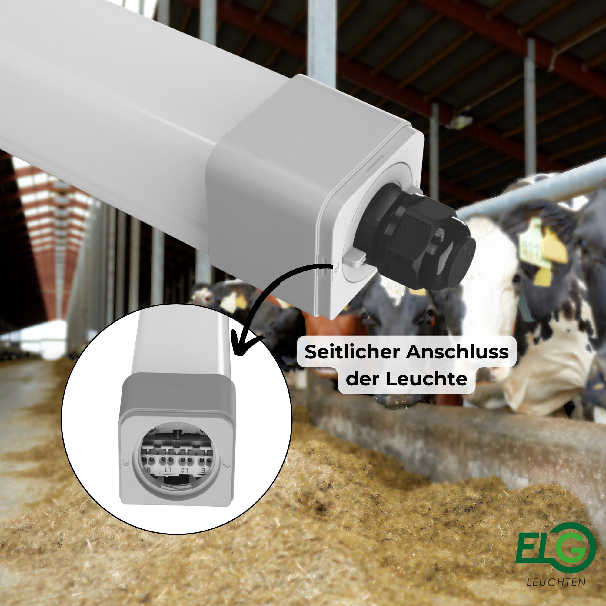 LED Feuchtraumleuchte 120cm 36W 4000K IP66 12er Set 4300lm | DLG anerkannt, Ammoniakbeständig, Agrarleuchte für Stall