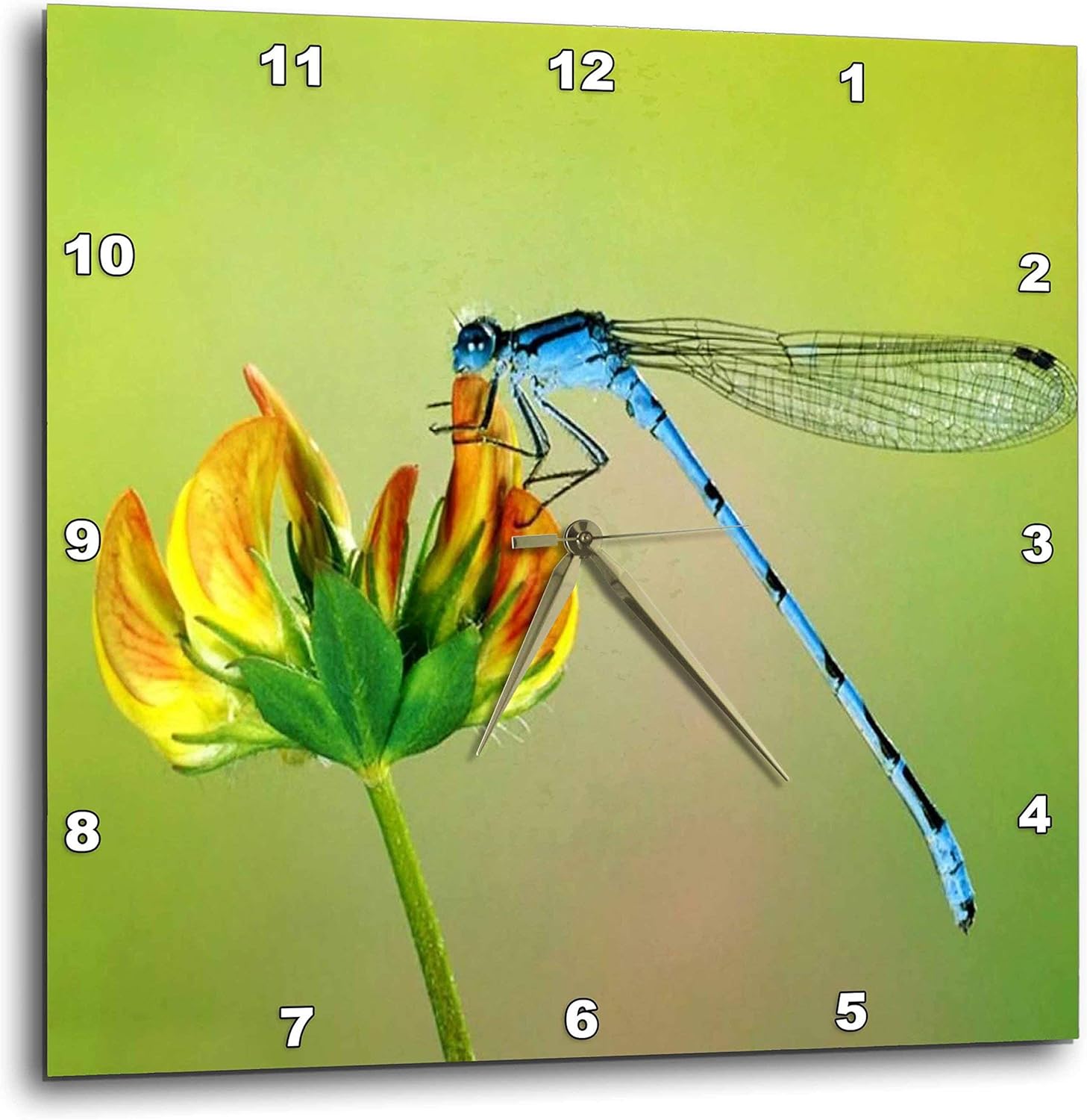 3dRose dpp_53238_1 Blue Dragonfly Wall Clock, 10 by 10-Inch