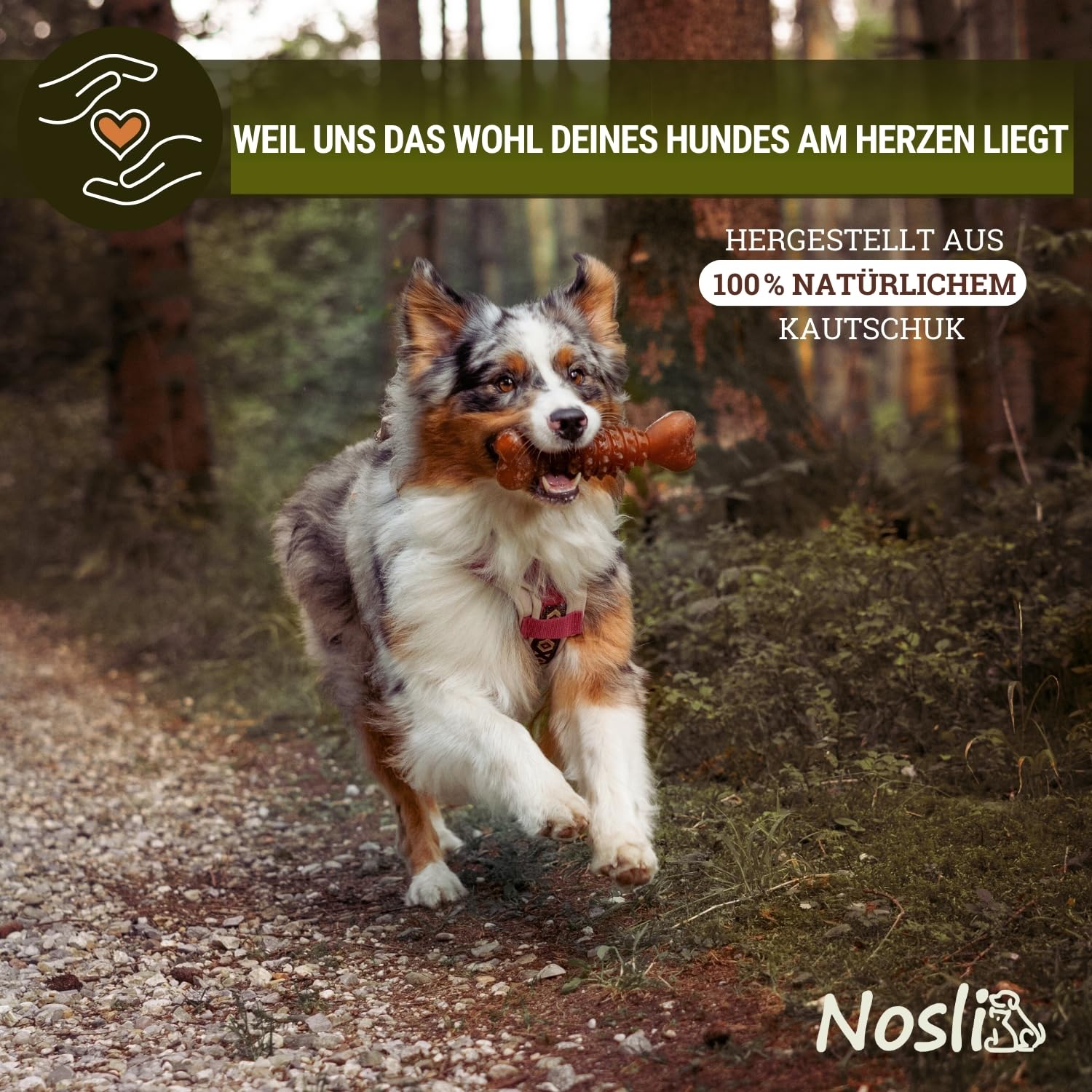 Natural Toys - Juego de juguetes para perros • 100% caucho natural • Cuidado dental y masticable • Juguetes resistentes para lanzar y tirar para perros pequeños y grandes • Juguetes de