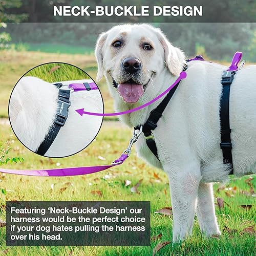 Miniatura 7 de Arnés para perro fácil de caminar y entrenar, sin tirones, arnés no restrictivo con hebilla para el cuello, correas de nailon, anillos en D de