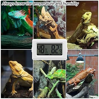 Amazon.co.jp: 爬虫類用デジタルプローブ温度計湿度計 - 2イン1