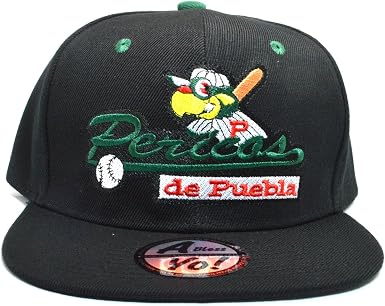 Pericos de Puebla Mexico League 