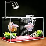Réservoir à poisson, 3 Gallon Ultra-Clear Glass Fish Aquarium, avec plaque de séparateur pour Betta, kit de démarrage de réservoir de poisson avec filtre et lumière à LED réglable, blanc