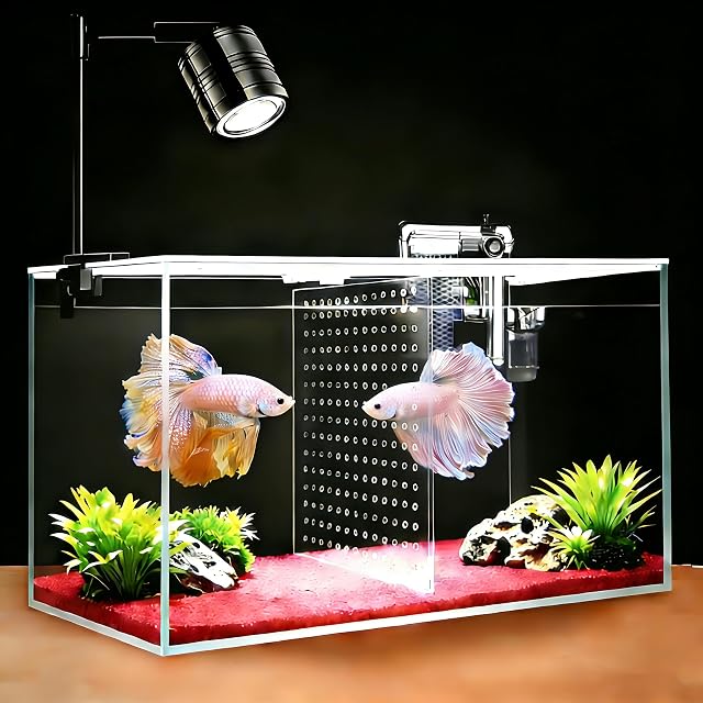 Réservoir à poisson, 3 Gallon Ultra-Clear Glass Fish Aquarium, avec plaque de séparateur pour Betta, kit de démarrage de réservoir de poisson avec filtre et lumière à LED réglable, blanc