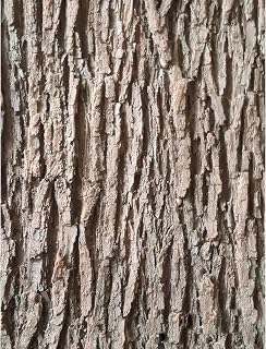 Artificial Tree Bark 19.69x39.37 Inch Fake Bark Ideal for Home Pillars Pipes Decor Cuttable Simulation Tree Ideal for Home Columns Walls Floors Decoration