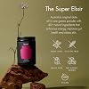 WelleCo The Super Elixir Daily Greens Powder، مزيج مشروب البروبيوتيك مع الأطعمة الكاملة، خالي من الغلوتين، مسحوق صحة الأمعاء النباتية، الطاقة، المناعة، البشرة الصحية، الشعر والأظافر (300 جرام، التوت المختلط)