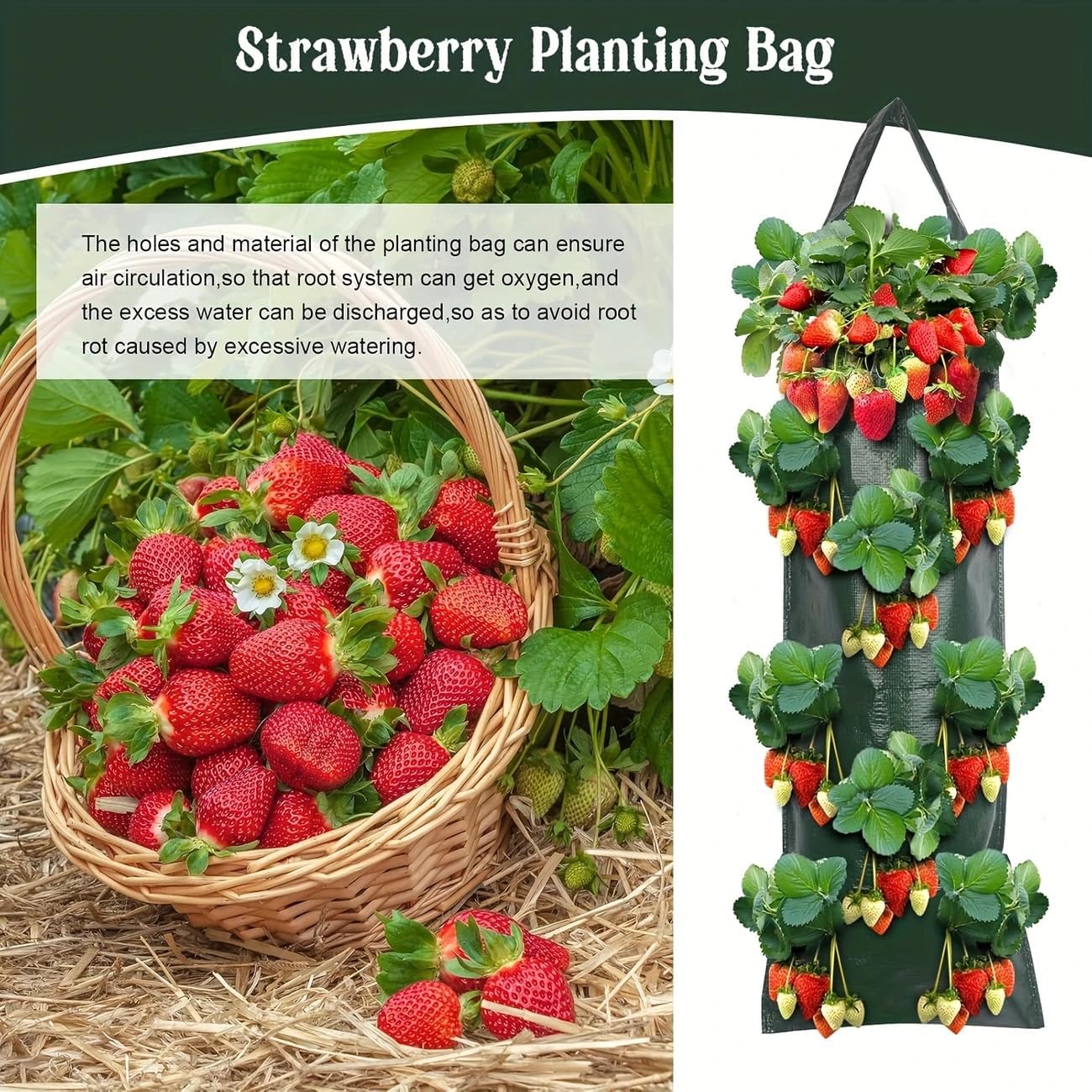 10 Pack Haning Strawberry Planter, 3 Gallon Haing Grow Bags with 8 Planting Holes Plastic Strawberry Pot Foldable Strawberries Growing Containers for Vegetables, Flowers, Herbs - Image 6