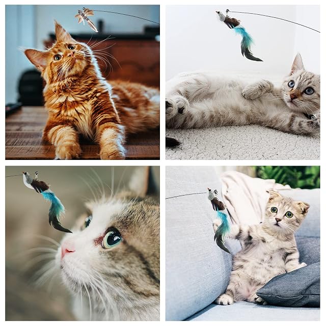 Foto 6 de 8 de UGBO Juguetes para Gatos Interactivos Juguete Gato Juegos Interactivo con Ventosa y Plumas Caña Gato Varita…