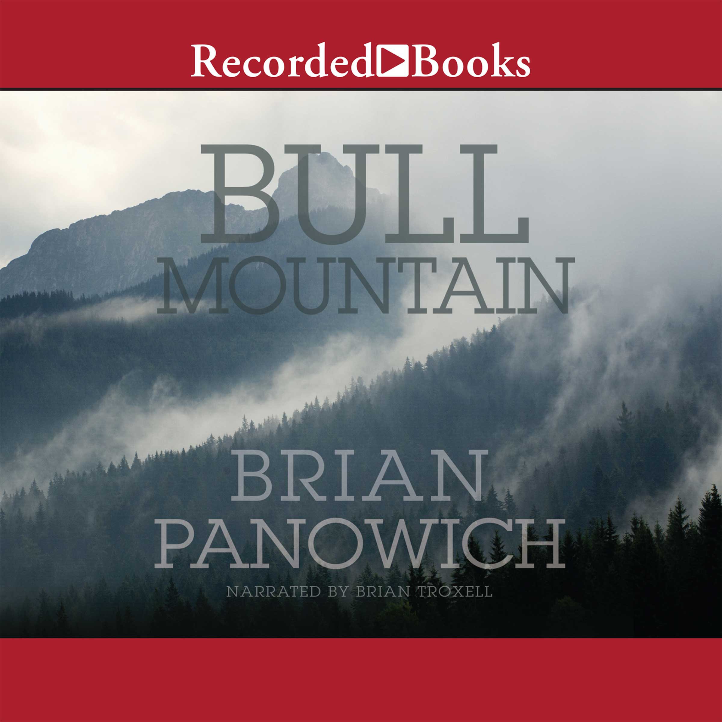 Cover art for Bull Mountain