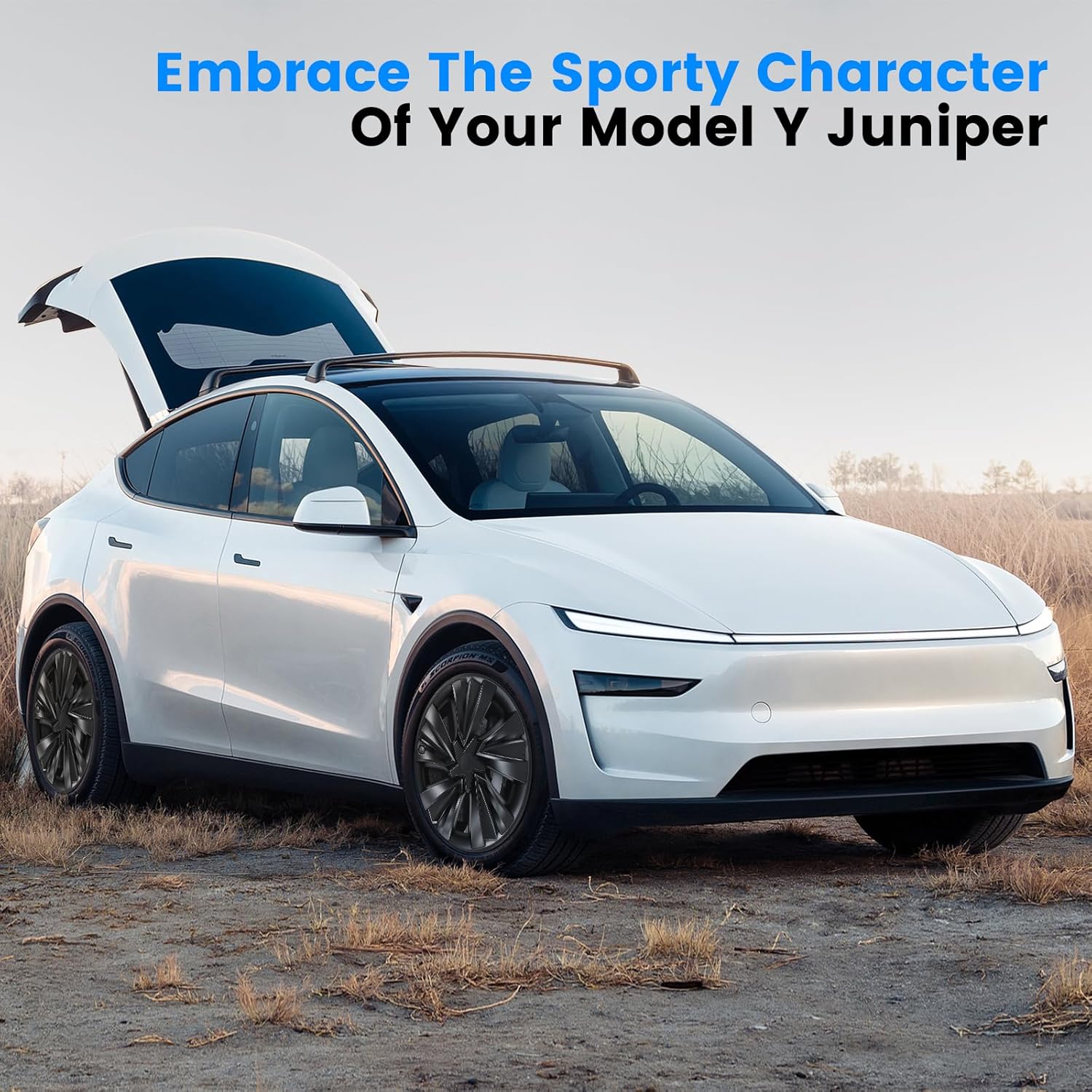 Hubcaps Fit for Tesla Model Y Juniper 2025 2026, 19" Matte Black Wheel Covers with Center Caps, Cross-Spoke Design Rim Covers, Easy Clip-On Installation for Model Y Juniper Accessories