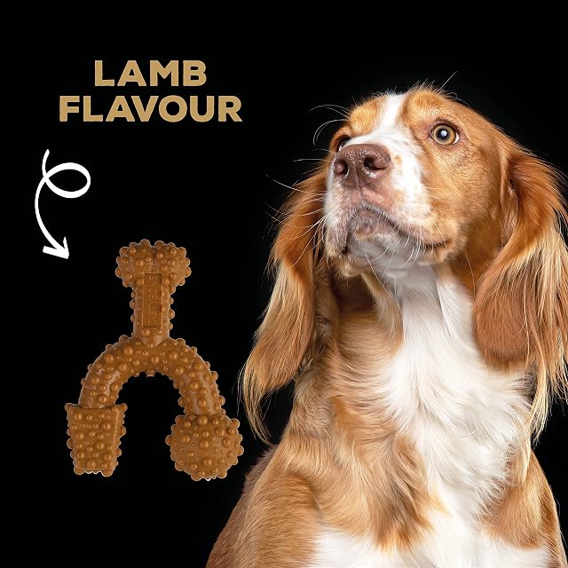 Foto 5 de 7 de Tasty Bone Rosewood 57053 Trio de Goma Perros Juguete, Cordero, Small