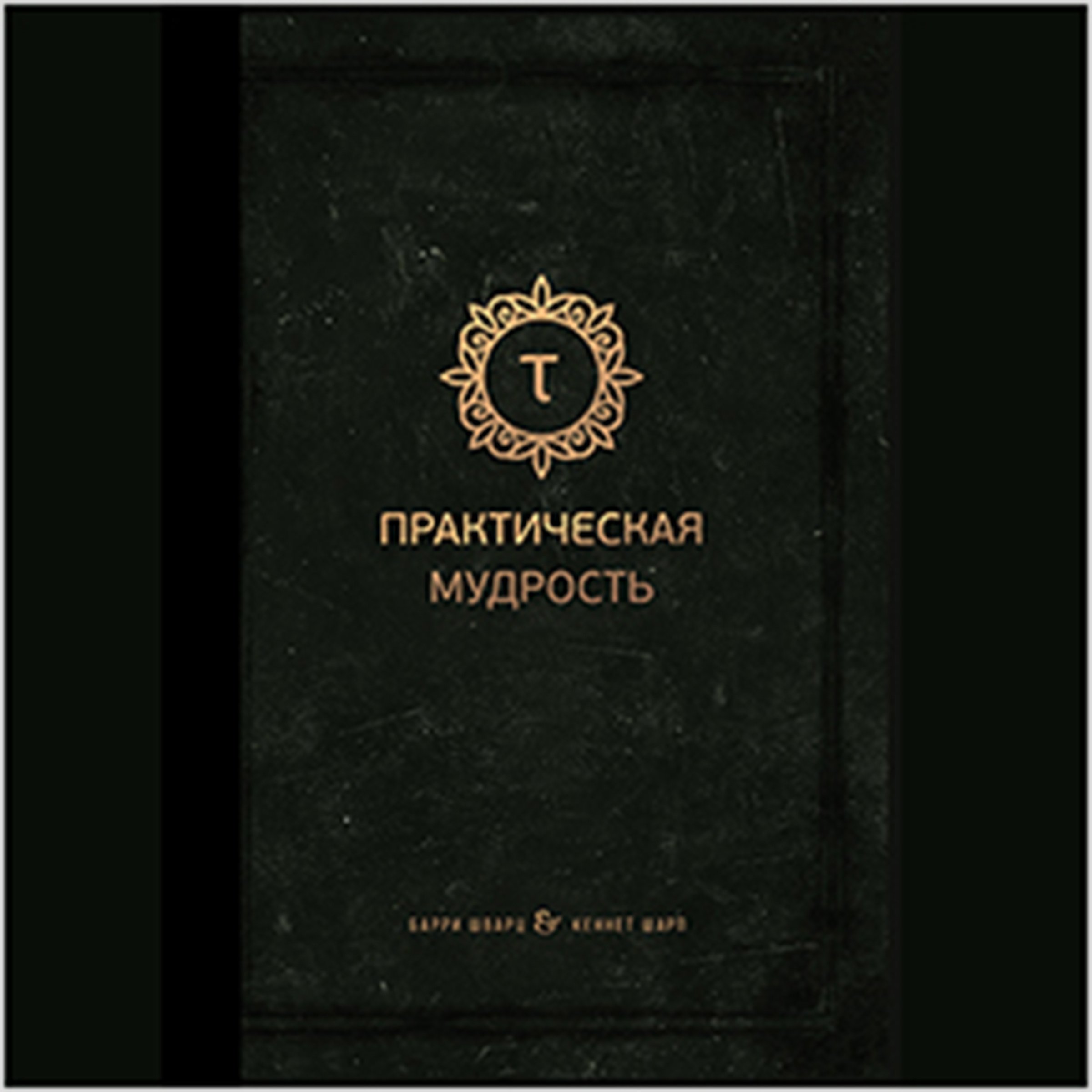 Practical Wisdom [Russian Edition]