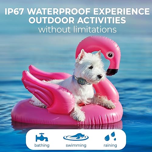 Miniatura 9 de Collar antiladridos para perros pequeños de 5 a 15 libras  Collar antiladridos para perros pequeños sin golpes  Collar antiladridos inteligente