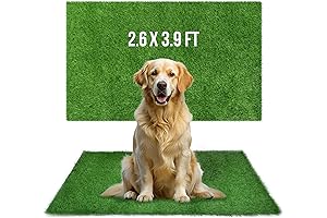 Professional Dog Grass Pad, Artificial Grass Mat 47.2x31.5 in