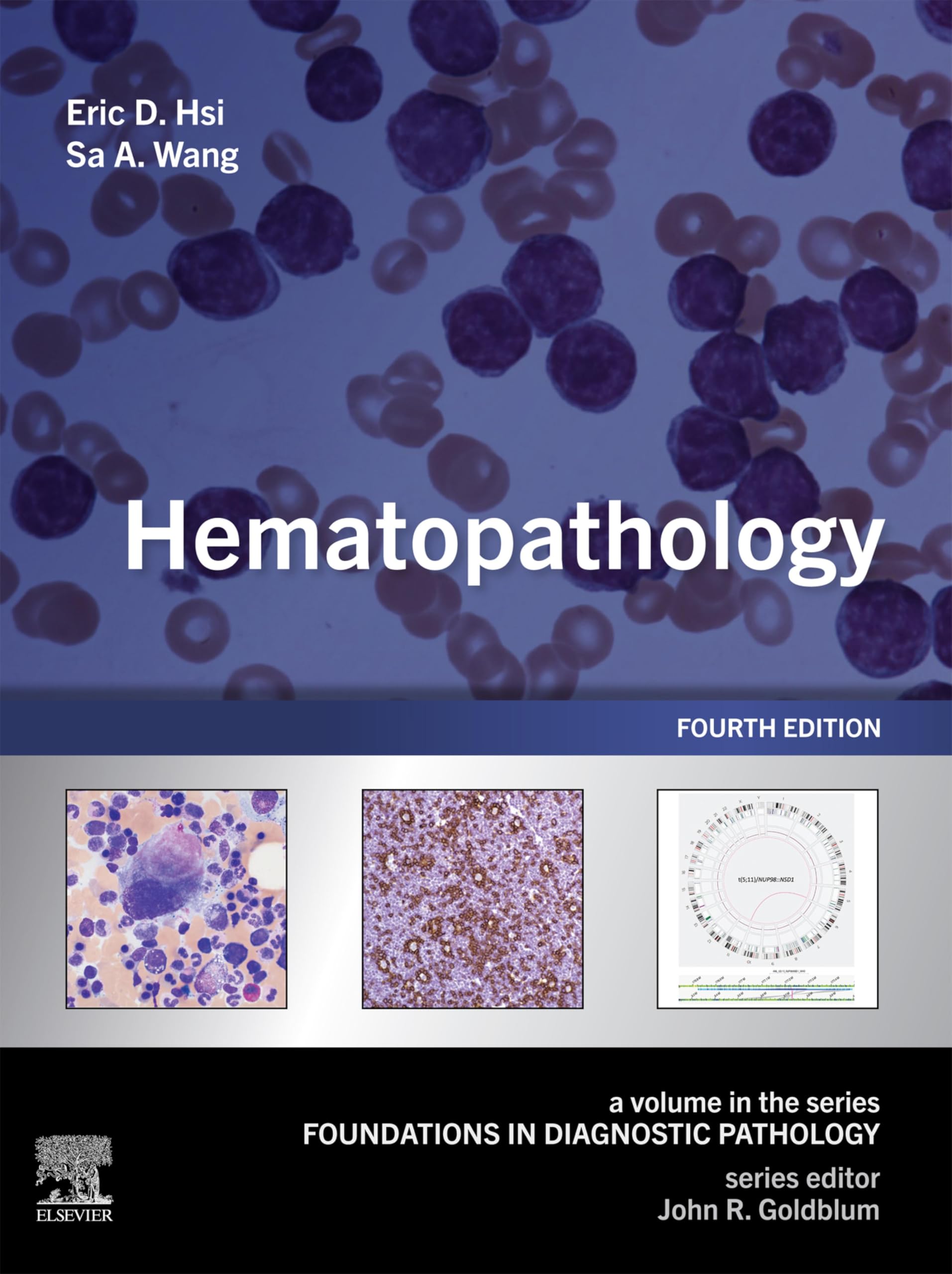 Hematopathology E-Book: A Volume in the Series: Foundations in Diagnostic Pathology