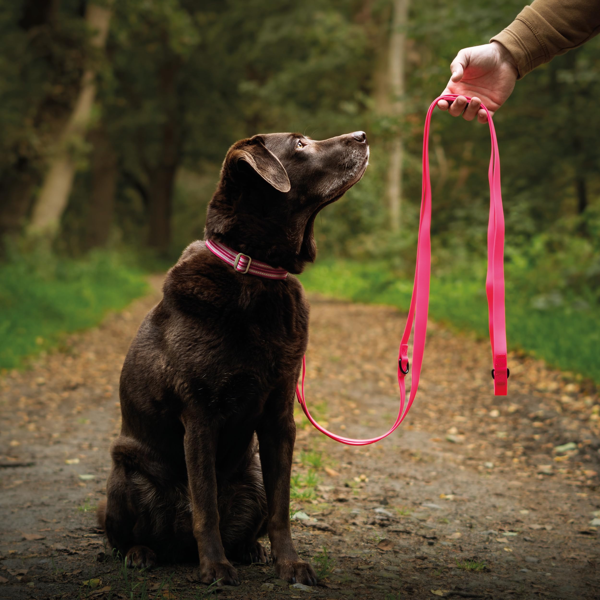 Floxik PVC Hundeleine 3m Grün | 4 Längen verstellbare Führleine für mittlere & große Hunde | Schmutz- & Wasserfest | Ideale Umhängeleine für das nächste Abenteuer mit deinem Liebling