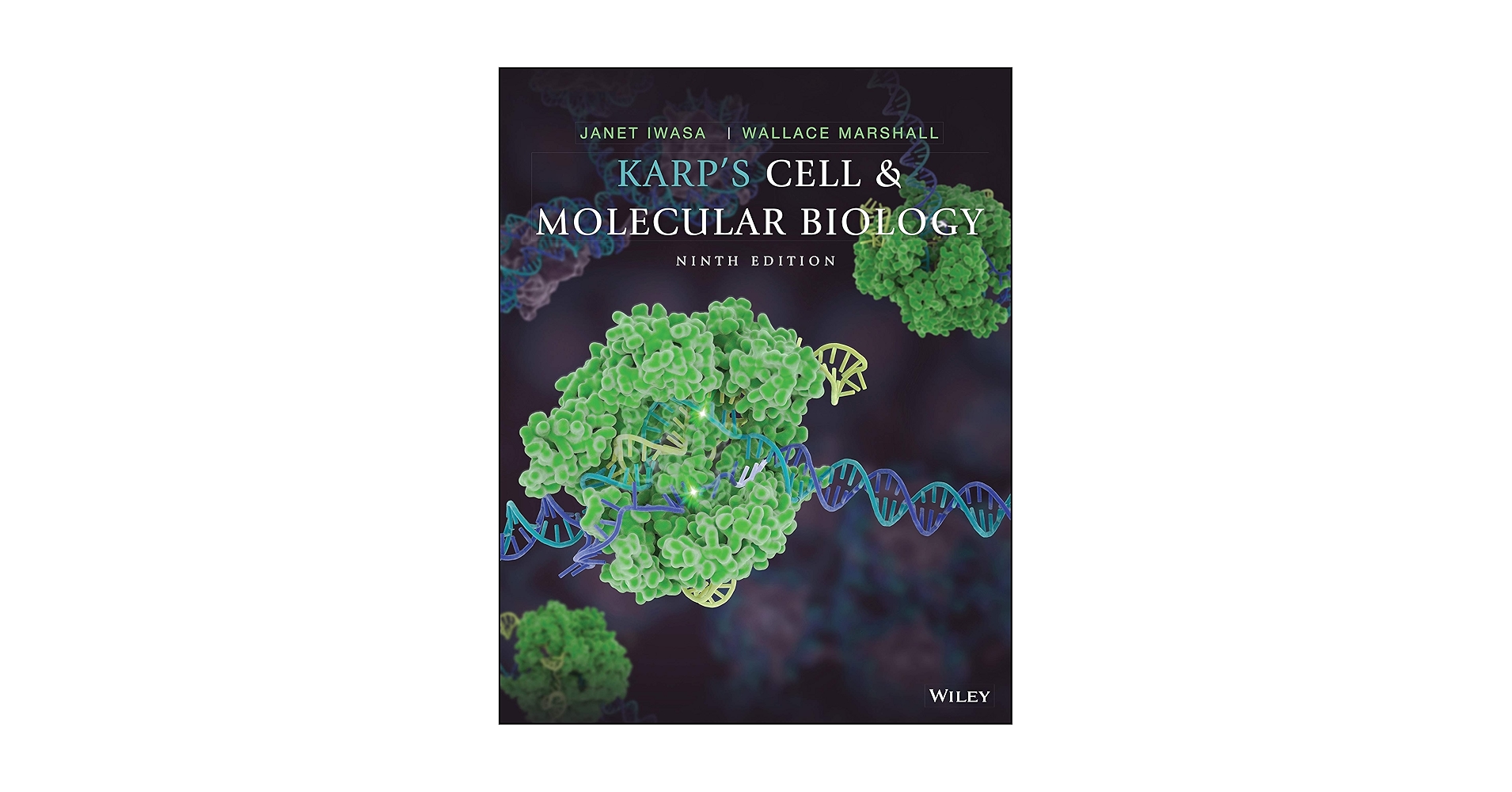 健康・医学 Molecular Cell Biology, 9th Edition Molecular Cell Biology (842581) 9, LODISH, HARVEY - Amazon.com