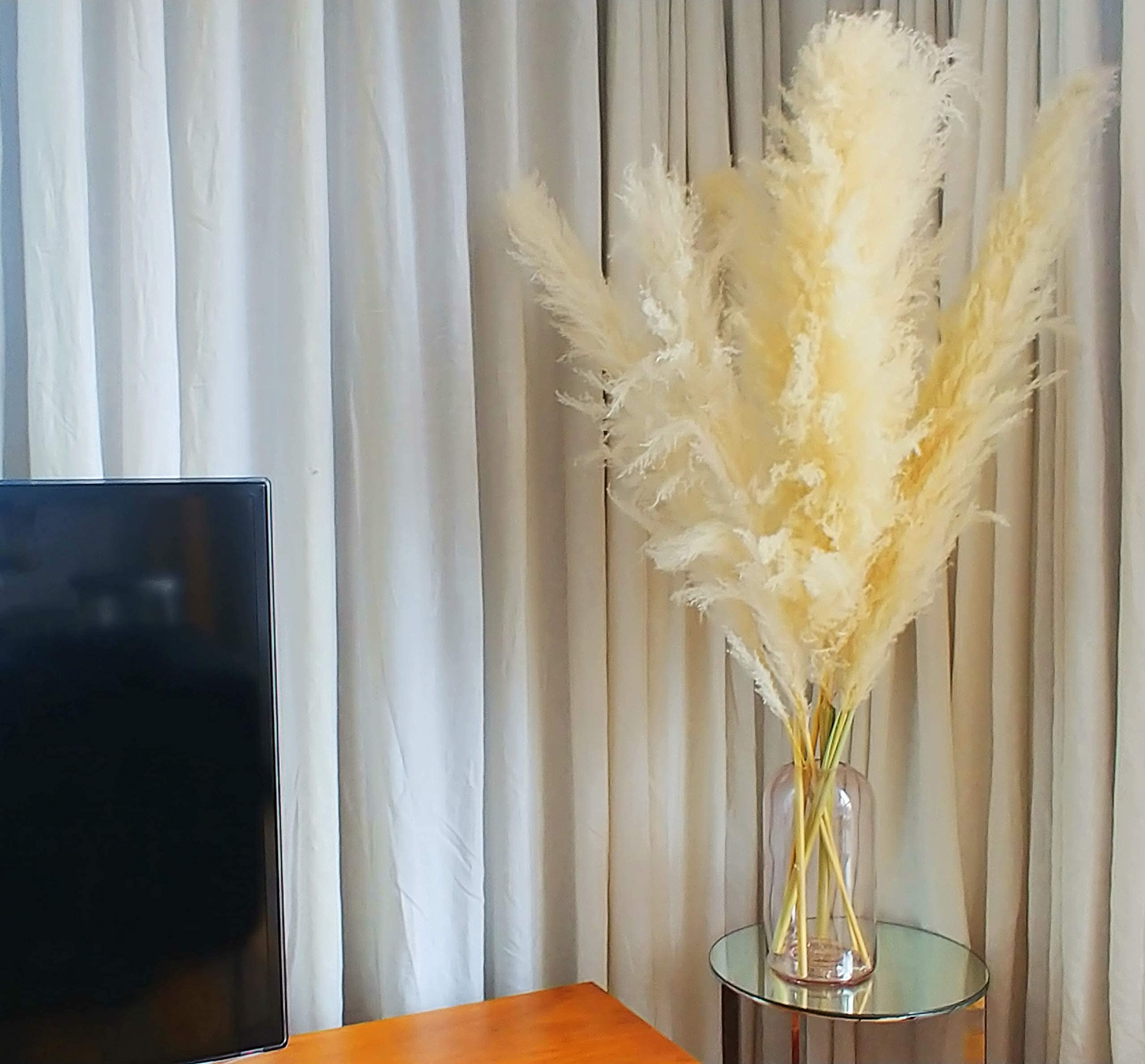 EZDC 4 Stems Natural Beige Dried Pampas Grass Large, 46” Tall Pampas Grass Plants, Pampas Grass