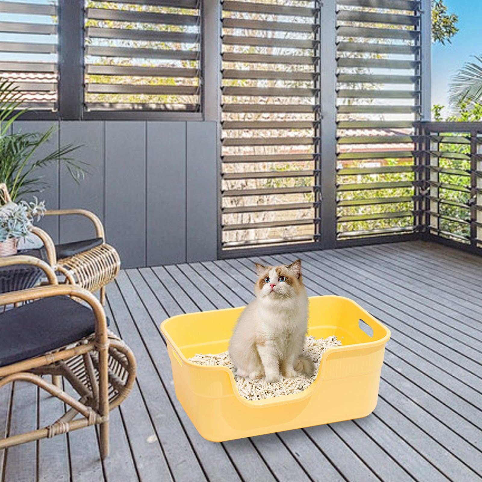 Cat Sand Box - Vassoio per lettiera per gatti | Vassoio per setacciatura della scatola del gatto, box gatto aperto, bacino di animali domestici portatili, cassette a lettiera aperta con pala, vassoio