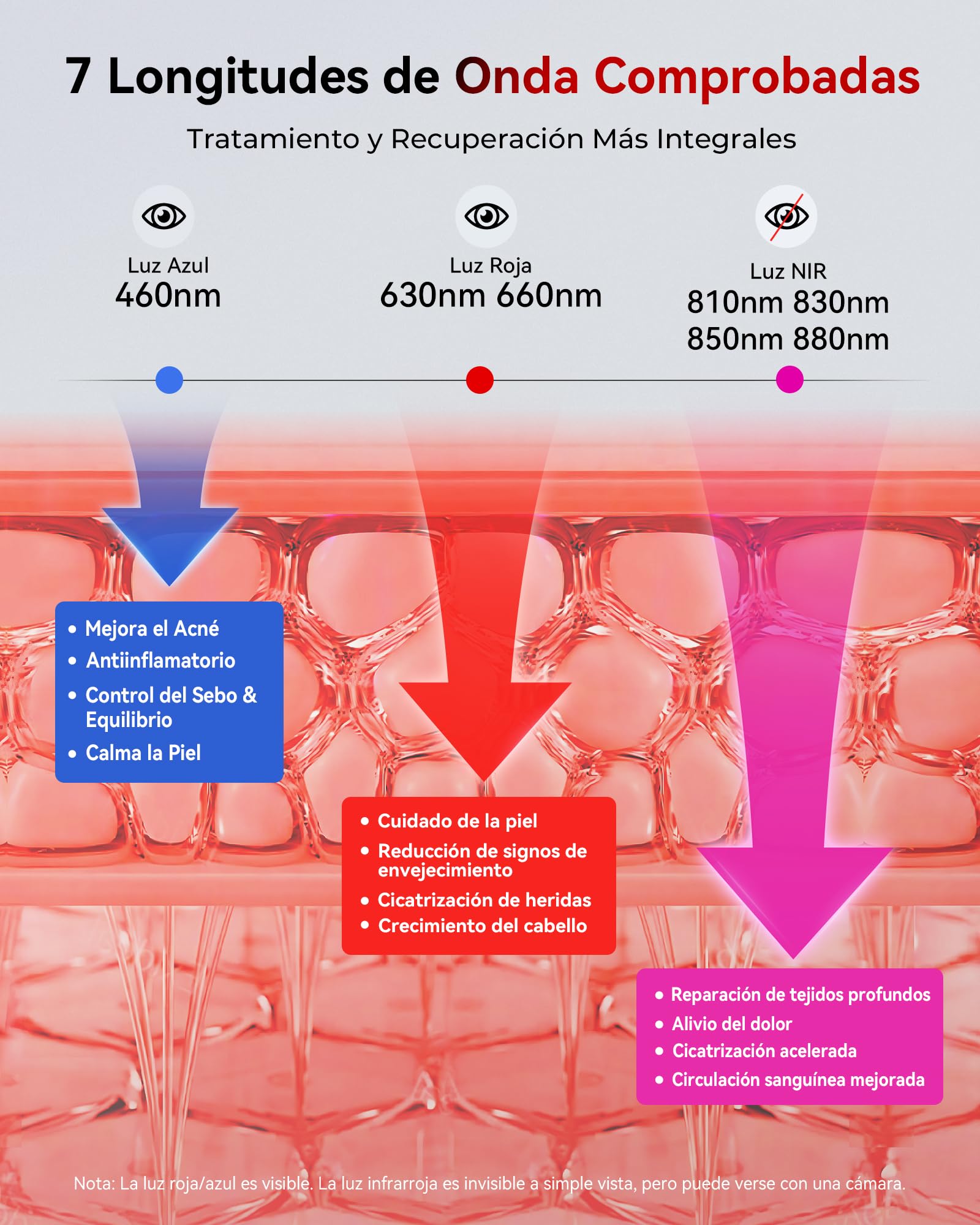 FliKEZE Panel de Luz Roja (Equipamiento Superior), 7 Longitudes de Onda Incluyendo Luz Azul, Luz Roja y Luz Infrarroja Cercana, para Tratar Tejidos Profundos y Superficiales de Manera Dirigida