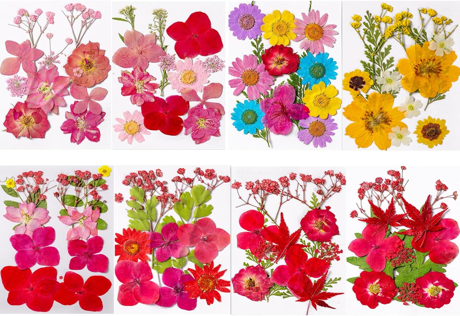 LMJIA 96 Pcs Dried Flowers, Pressed Dried Flowers for Nails